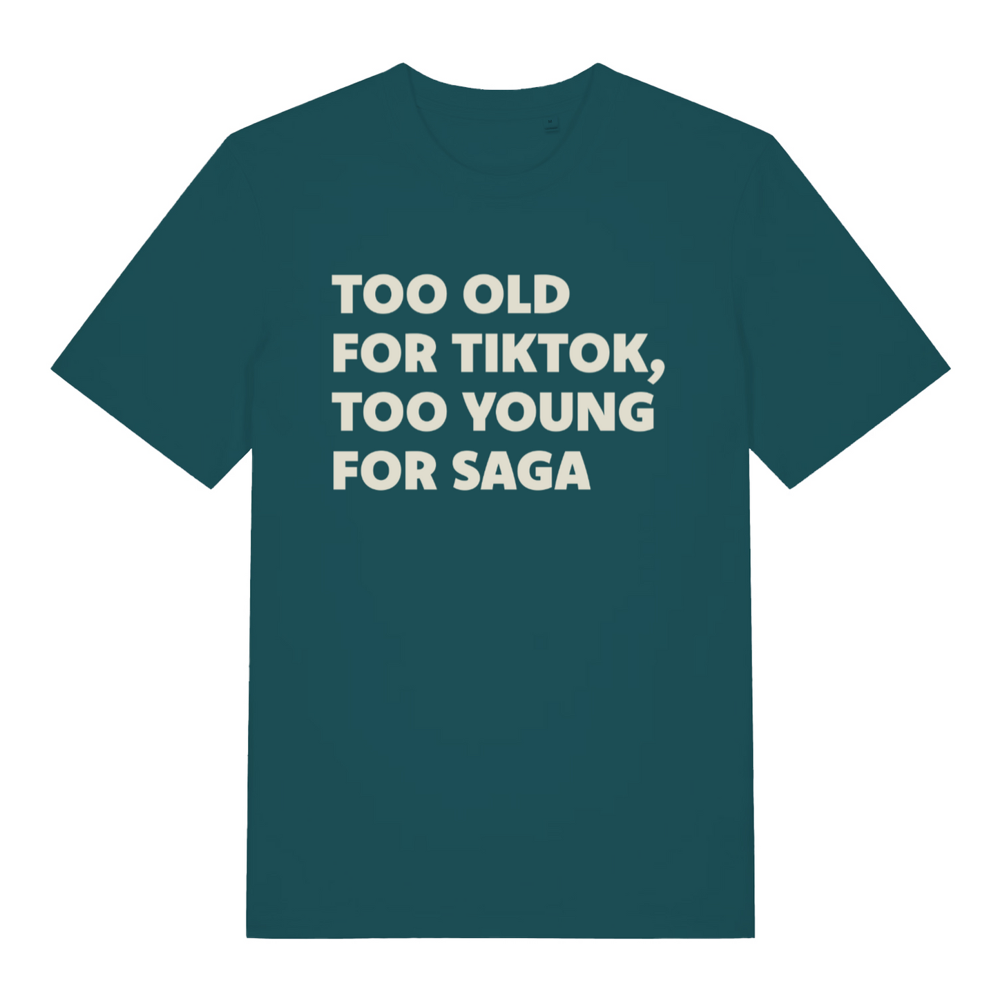 teal women's funny slogan t-shirt with the text 'too old for tiktok, too young for saga'