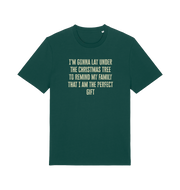 green christmas t-shirt with the slogan 'i'm gonna lay under the christmas tree to remind my family that i am the perfect gift'