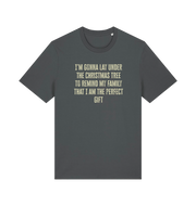 grey christmas t-shirt with the slogan 'i'm gonna lay under the christmas tree to remind my family that i am the perfect gift'
