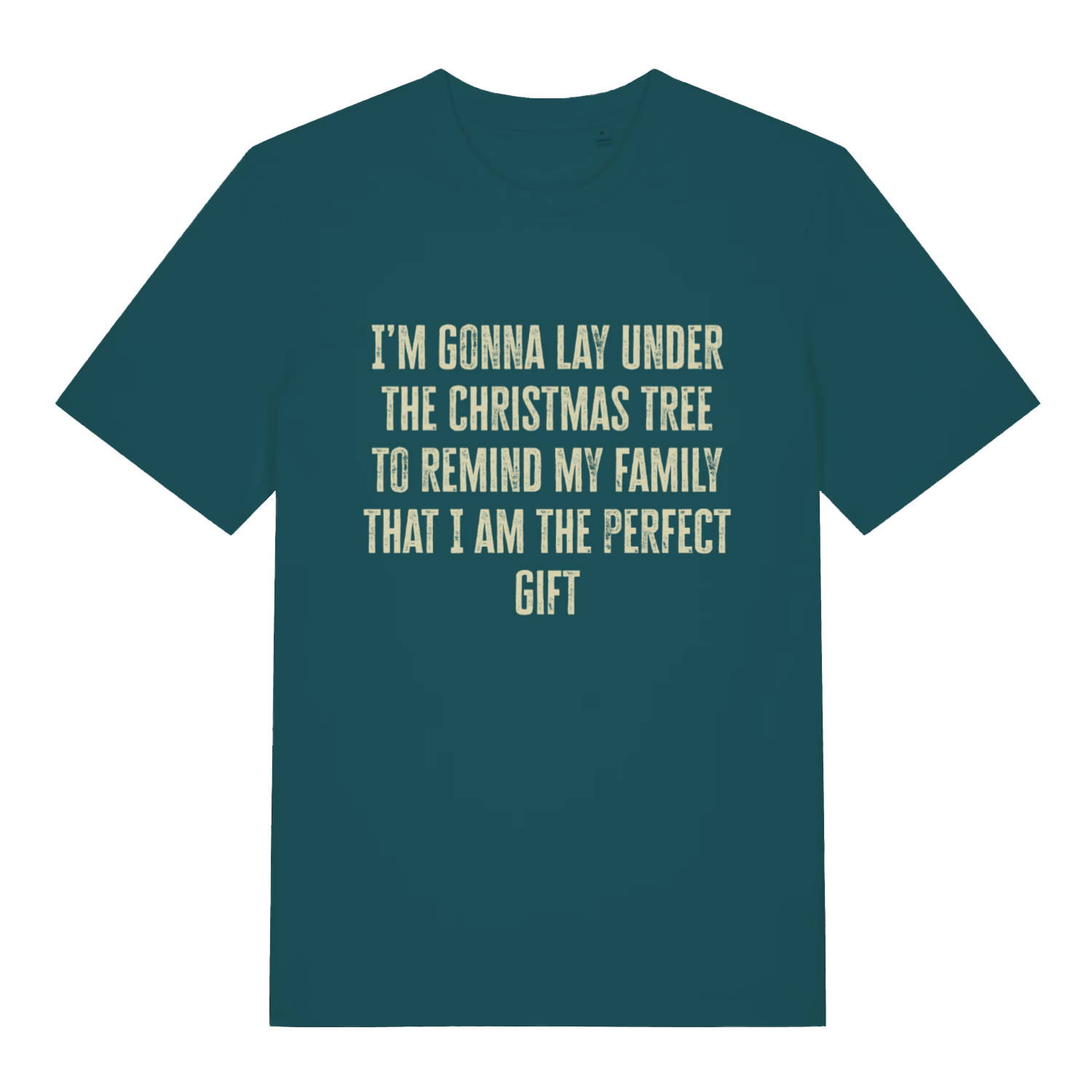 Stargazer Perfect Gift Under The Tree funny Christmas slogan t-shirt showing distressed festive slogan  