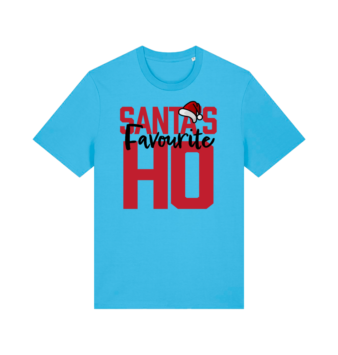 blue xmas t-shirt with the slogan 'santas favourite ho'