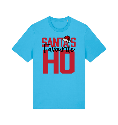 blue xmas t-shirt with the slogan 'santas favourite ho'