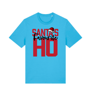 blue xmas t-shirt with the slogan 'santas favourite ho'