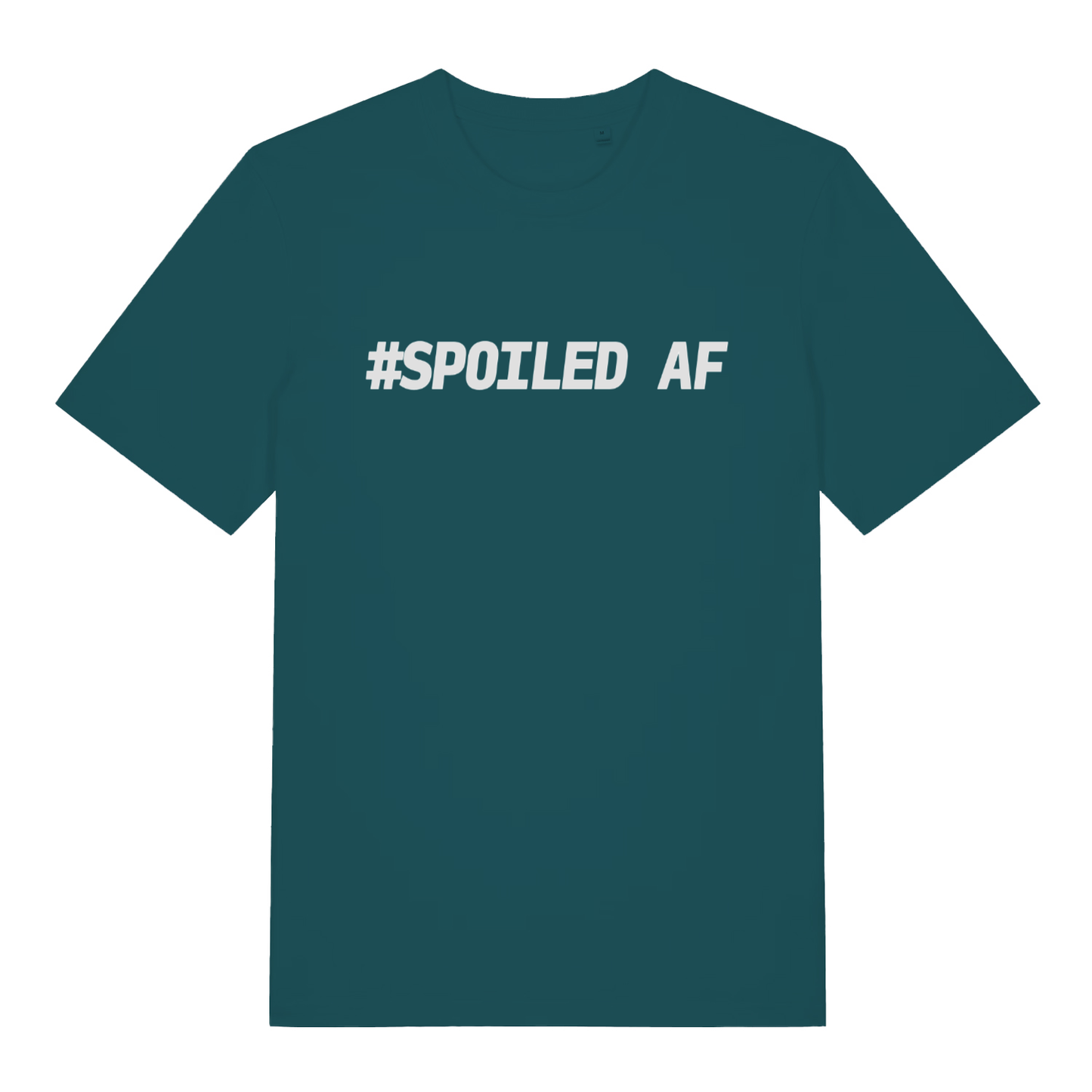 Stargazer #Spoiled AF funny slogan t-shirt with classic unapologetic text print  