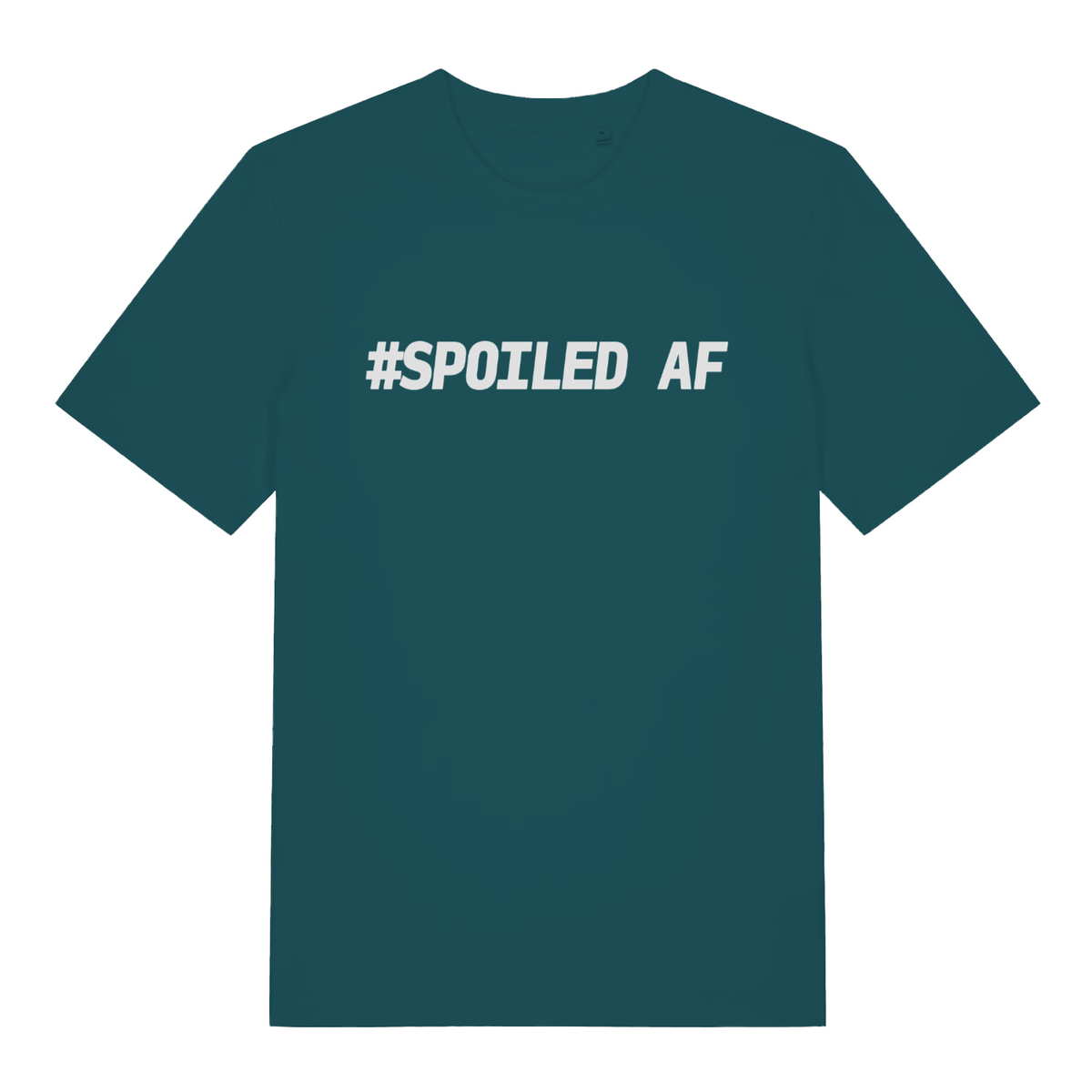 Stargazer #Spoiled AF funny slogan t-shirt with classic unapologetic text print  