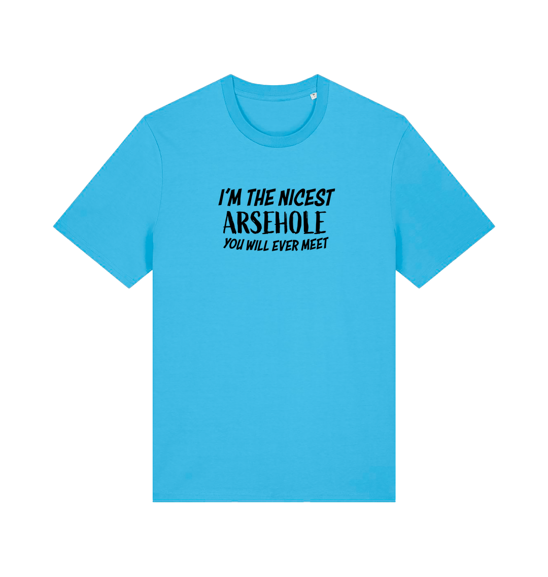 blue rude t-shirt with the slogan 'i'm the nicest arsehole you will ever meet'