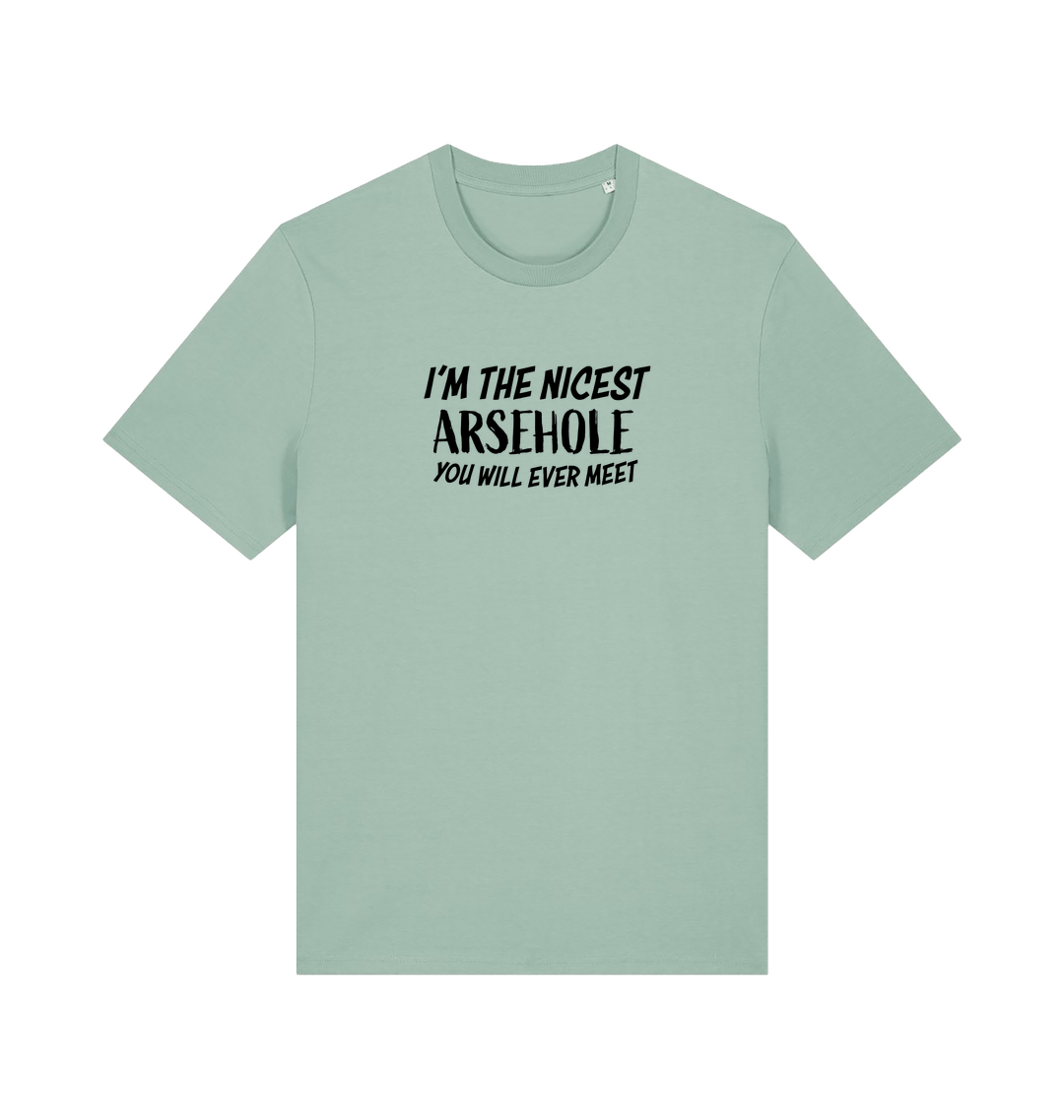 mint green rude t-shirt with the slogan 'i'm the nicest arsehole you will ever meet'