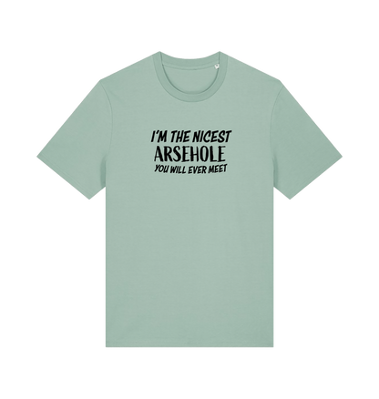 mint green rude t-shirt with the slogan 'i'm the nicest arsehole you will ever meet'
