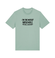 mint green rude t-shirt with the slogan 'i'm the nicest arsehole you will ever meet'