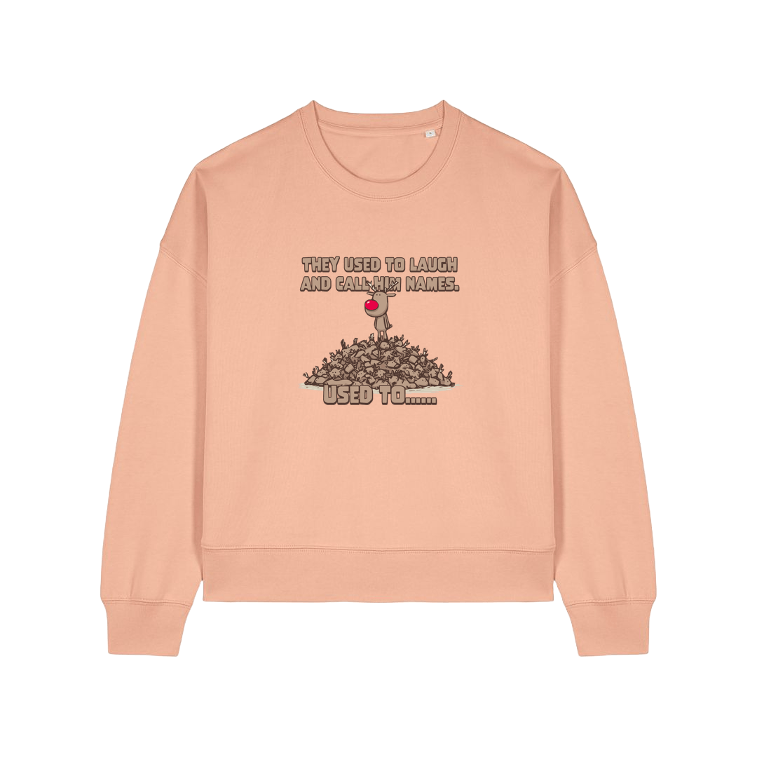 peach christmas sweater with the graphic of rudoph stood ontop of a pile of reindeer and the slogan 'they used to laugh and call him names used to ..'