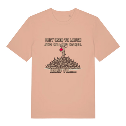peach women's christmas t-shirt with the graphic of rudolph stood on top of a pile of reindeer with the slogan 'they used to laugh and call me names, used to'